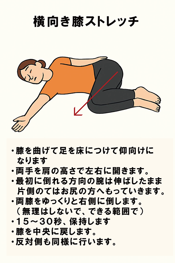 背中と腰をゆるやかに伸ばすリラックスストレッチ