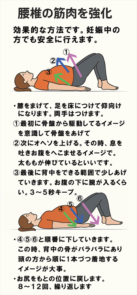 腰椎を意識した骨盤チルトの具体的な動作手順